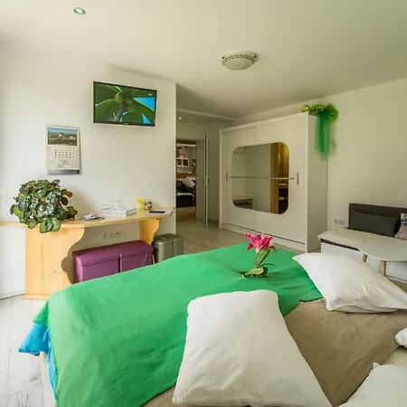 Pr' Jakapc' Apartahotel Mojstrana