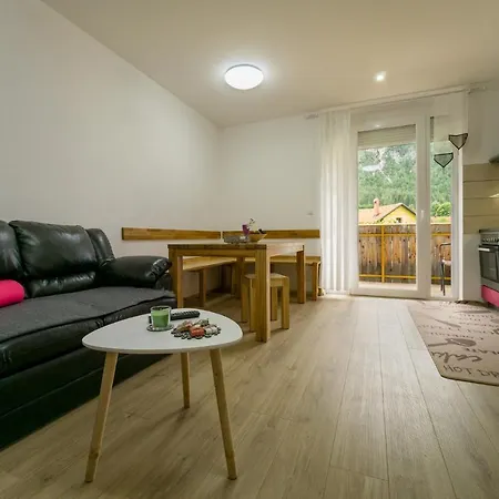 Apartahotel Pr' Jakapc'