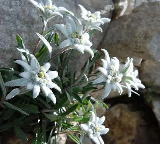 شقة فندقية Pr' Jakapc' 3*